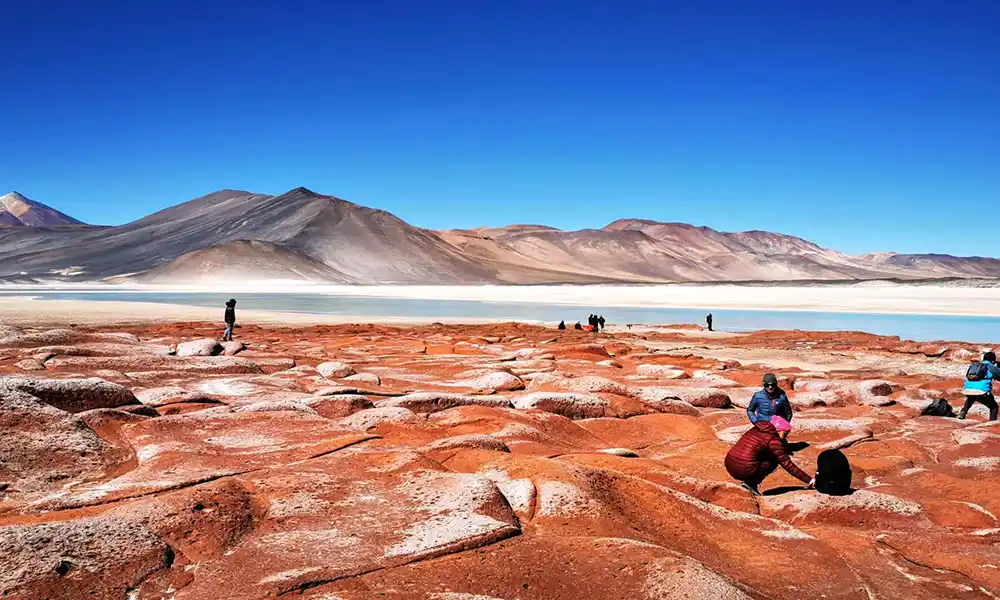 Tour Piedras Rojas y Lagunas Altiplánicas desde San Pedro de Atacama